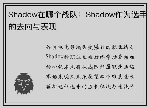 Shadow在哪个战队：Shadow作为选手的去向与表现